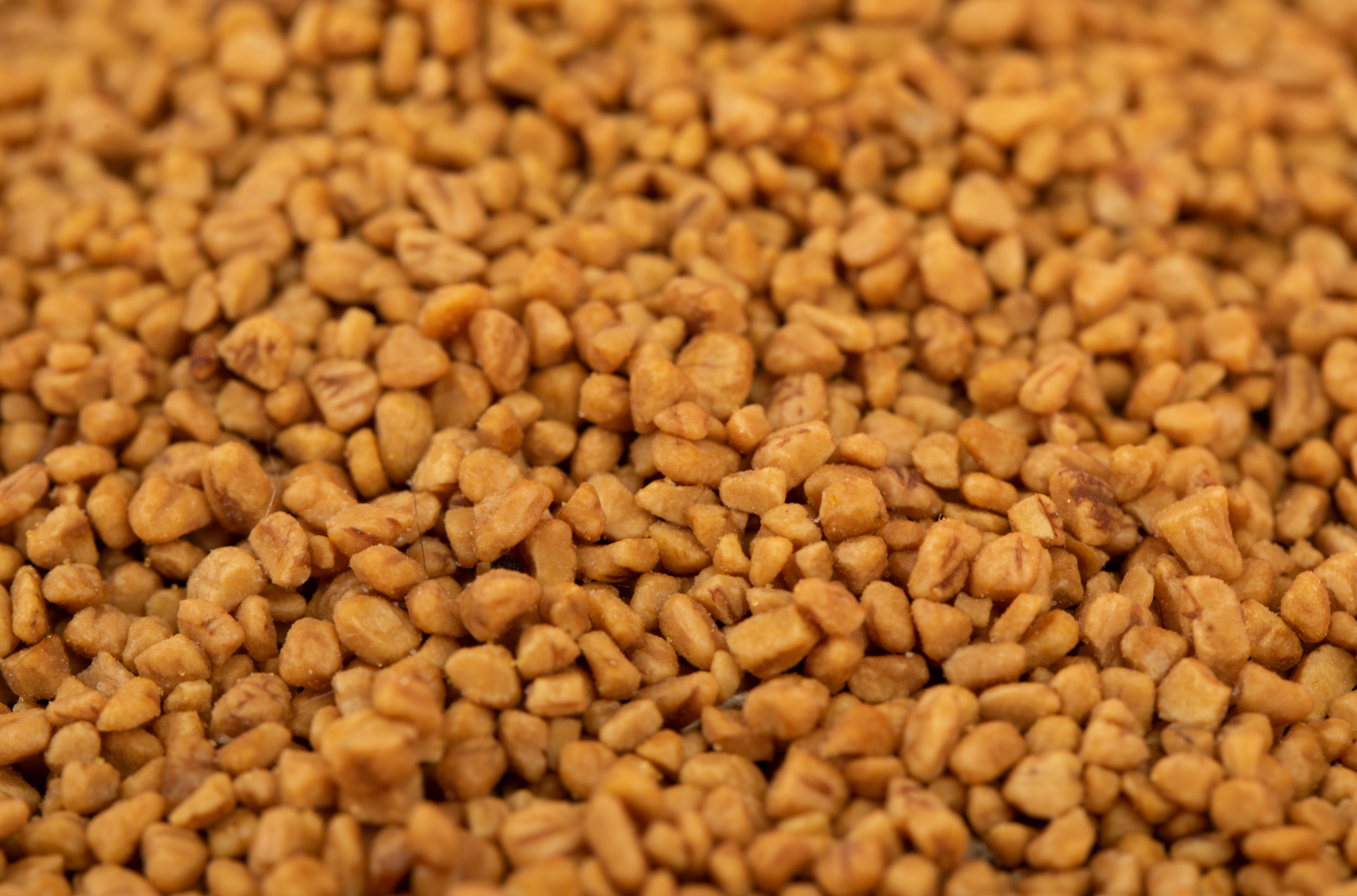 Olive Pit Cat Litter -