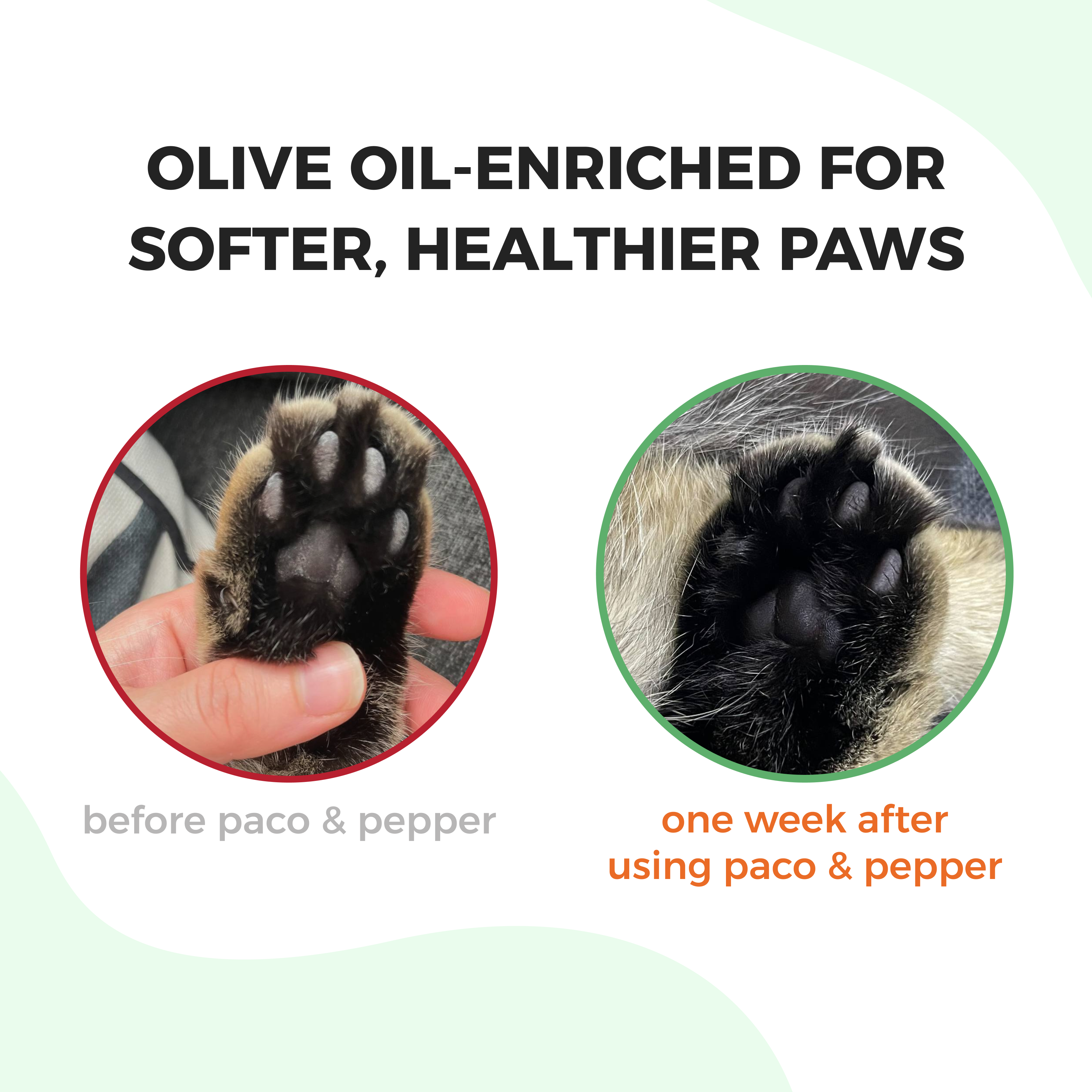 Olive Pit Cat Litter -